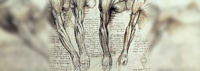 DaVinci-Arm-study-image.jpg